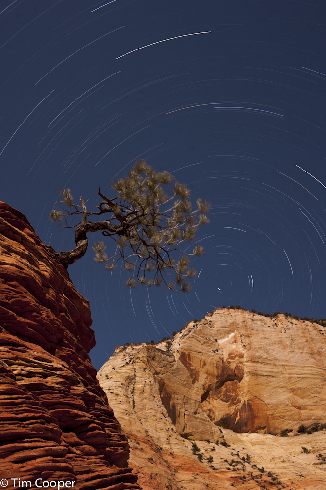 LoneTree_Star_Trails