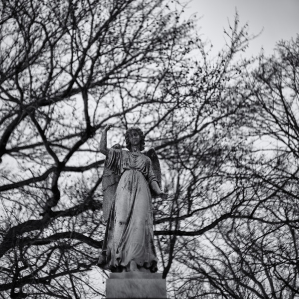 Green-Wood Angel ~ Sony A7s & Voigtlander 50mm 1.5 Nokton ~ 8s at f/1.5 ~ ISO 100 