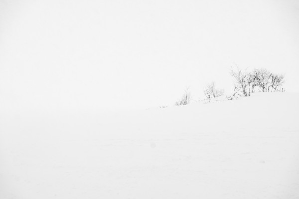 Snowstorm Study II ~ Fujifilm XT1 & 18-135 lens ~ 1/60s at f/9 ~ ISO 200